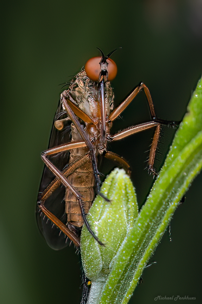 D46A7251-Bearbeitet